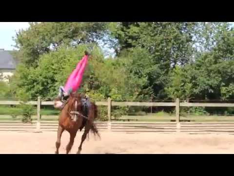 Voltigieren Wildenburg - Stallfest 2012 - Kür Aufsprünge und Abgänge aller Gruppen, Förder Einzel M