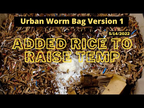 Urban Worm Bag Version 1 - Added Rice to Turn up the Heat 05/14/2022