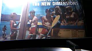 The New Dimensions  - Wild Wave - vinyl LP