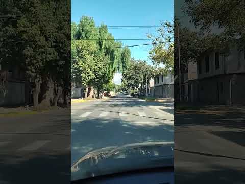 Enanitos verdes en el barrio - Las Heras - Mendoza - Argentina...