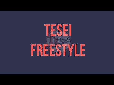 JONAS BERCE VS SEAM EZE || TESEI FREE || FINAL || 2018