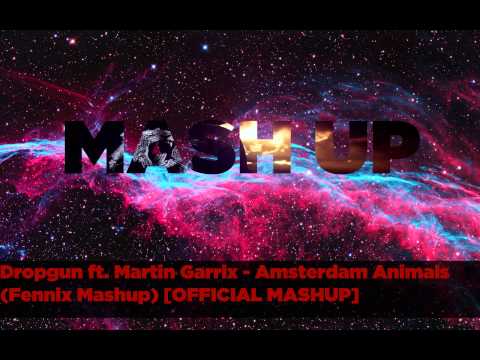 Dropgun ft. Martin Garrix - Amsterdam Animals (Fennix Mashup) [OFFICIAL MASHUP]