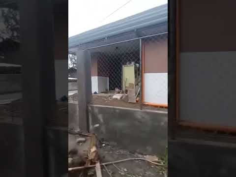 TEMPORARY BAKOD | WALA PANG BUDGET #trending #shortsvideo #viral #ytshorts #fence #fencewire