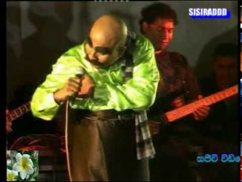 SUNFLOWER ridam night MATUGAMA 2008(DEEPAL 3)