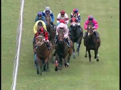 35th Meeting (19th Nov 2011) - Race 4 Winner: LORD GOOGOL (iDates.mu)