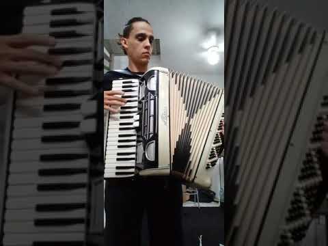 Acordeon La Fisarte 120 baixos !!