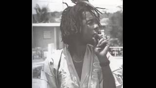 Peter Tosh Lessons In My Life