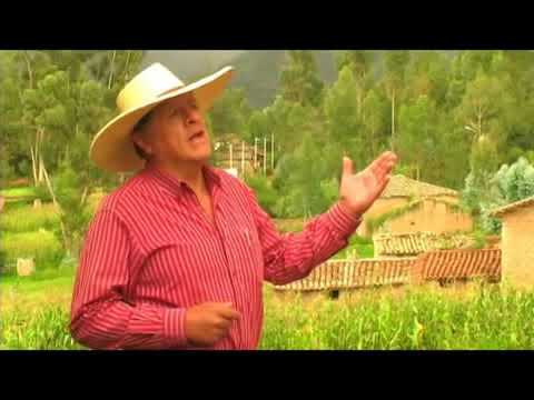 Walter Humala - Viejo eucalipto