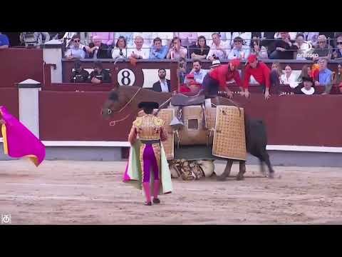 Tarde histórica en Las Ventas: los tres toreros acabaron en enfermería
