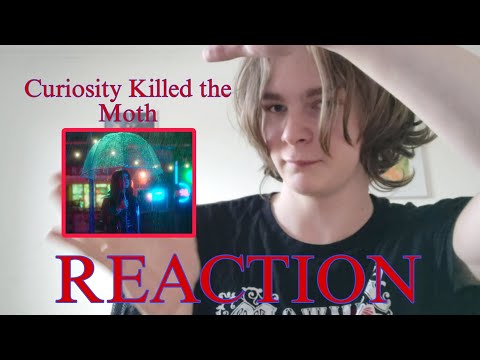 Curiosity Killed The Moth by Mothica Reaction!!