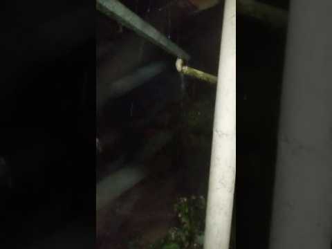 Muita água em Ibiapina Ceará Serra Ibiapaba 27/04/2026
