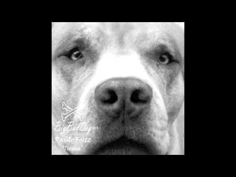 Paulo Foltz - Trauma (Original Mix) [BIG BAD DOG] BBD013