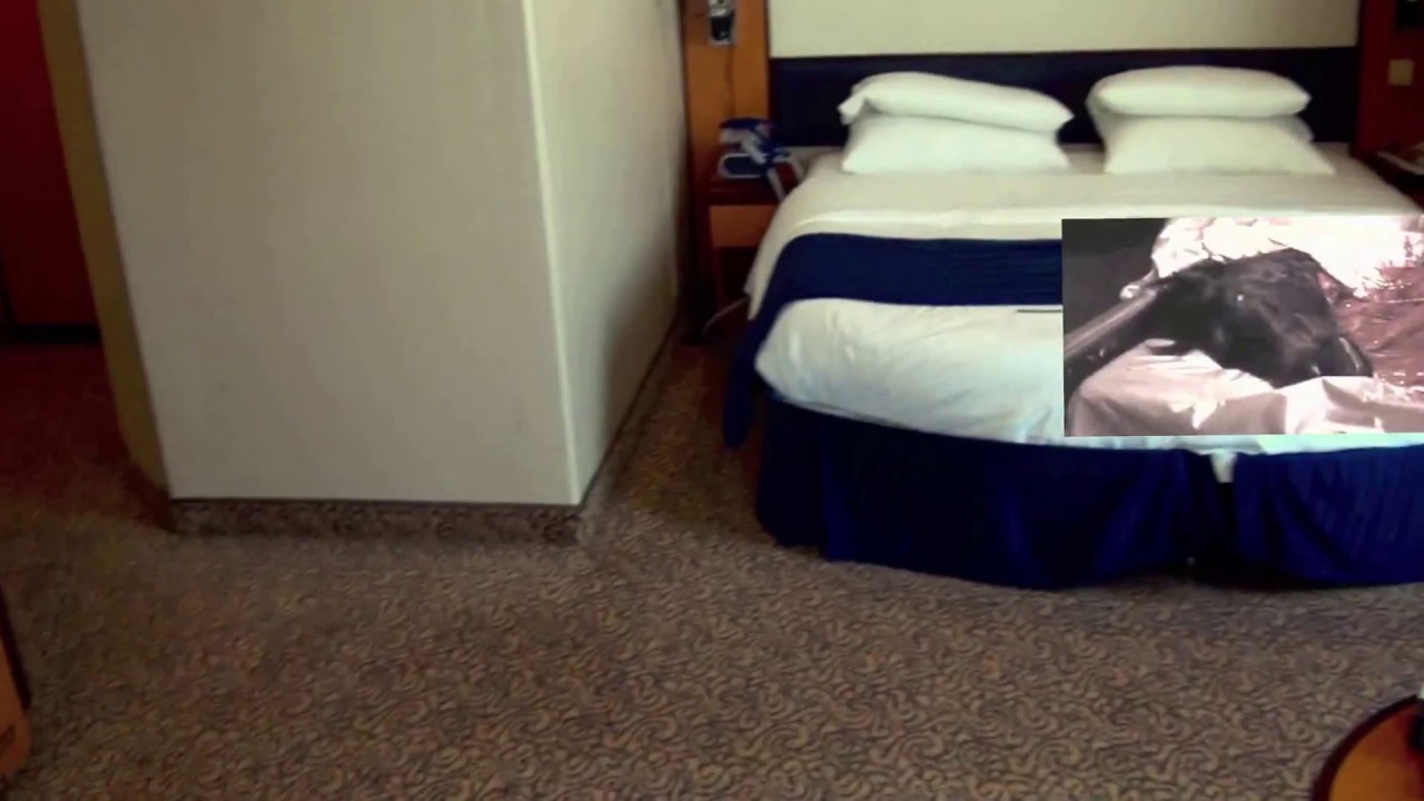 Brilliance of the Seas - Cabin 7504 - Video 1