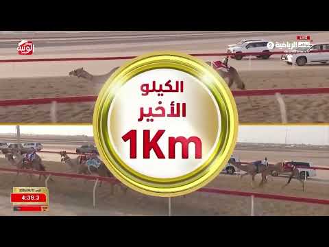 ش 9 (الزود) لـ محمد عوض عتيق بن زيتون المهيري 6:14:58 ، شارة الديوان 2026/9/13 إيذاع الوثبة