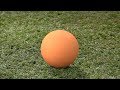 Waybuloo Season 1 Episode 22 Ball