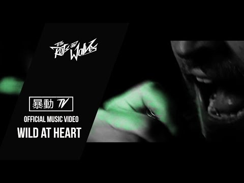 To the Rats and Wolves- Wild at Heart (OFFICIAL MUSIC VIDEO)