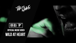 To the Rats and Wolves- Wild at Heart (OFFICIAL MUSIC VIDEO)