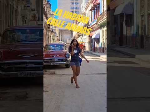 Callle Animas/La Habana /CUBA