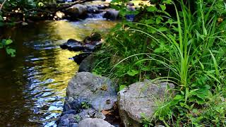Best Music for coding || Meditation Music || Coding Music || Relaxing Chill Music