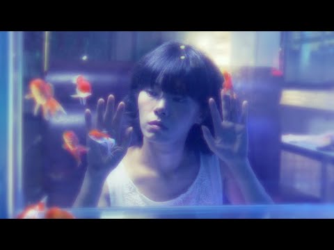 비디오 25