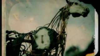 Sparklehorse - Heart of Darkness