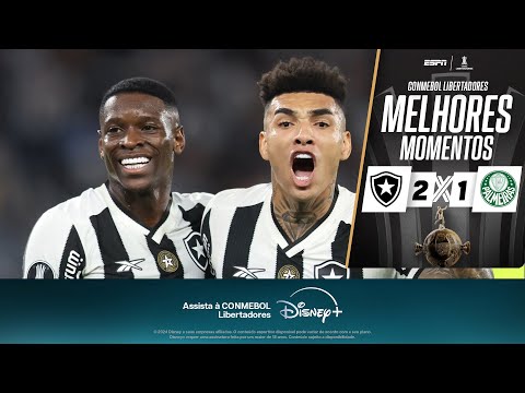 Gols e lances de Botafogo x Palmeiras