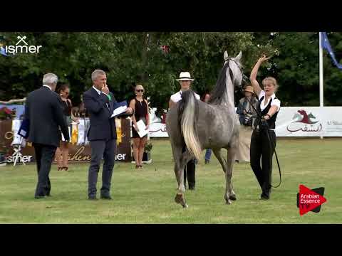 N.25 BASILEA EL JUSTICE - Strohen 2018 C European