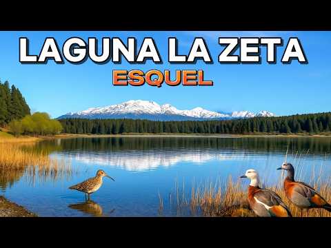 【4K】Explorando la Laguna La Zeta - Naturaleza, Aves y Montañas | Esquel, Argentina