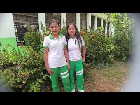 Pijiño del Carmen  IED Agroambiental San José. Docente Armando Rafael Hernández Morales -