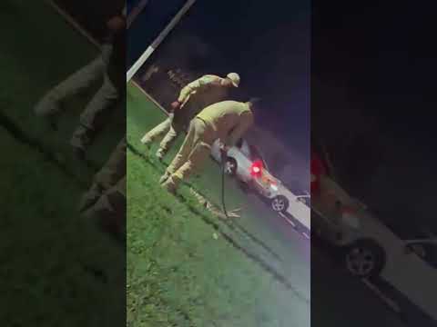 Jacaré na Rodoviária de Altônia Paraná #pecuarista #karate #chuvas #humor #mercadoagricola #sitio