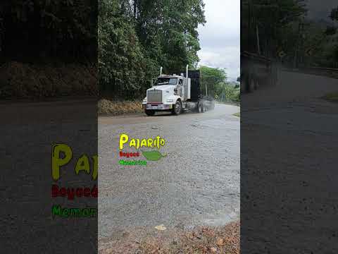 Tráfico circulando en Quebrada negra (vía Sogamoso - Pajarito Boyacá) 02/12/2025
