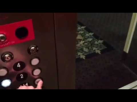 Elevators at Staybridge suites Royersford Pa