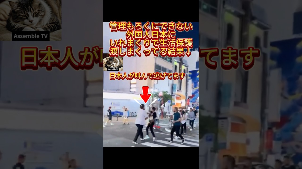 日本人が日本で叫んで逃げています。今のこの状況皆様はどう思われすか？　#shorts #高市早苗 #政治の闇