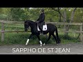 Jument - Lusitanienne - 4 ans - Dressage - France