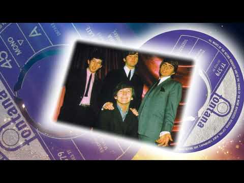 Wayne Fontana And The Mindbenders  -  It's Just A Little Bit Too Late (1965)