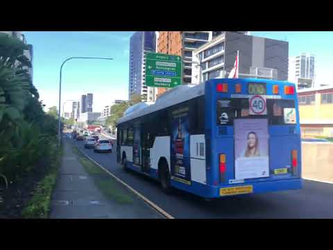 Transdev John Holland Buses in action #1