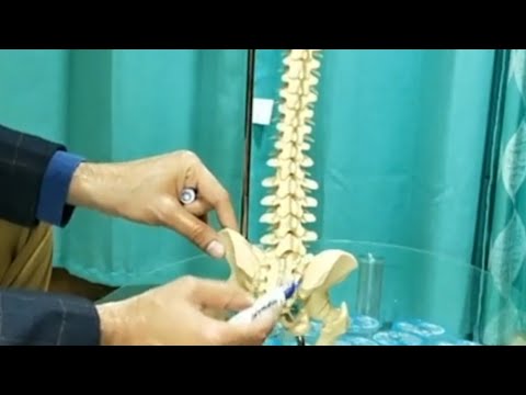 helmintikus terápia ankylopoetikus spondylitis