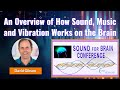 An Overview of How Sound, Music & Vibration Works on the Brain with David Gibson