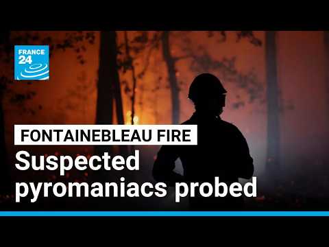French police investigate suspected pyromaniacs thought to have started Fontainebleau fire