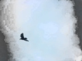 Brockwell Park (Red House Painters Cover)