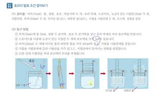 [초등과학 6-1 무료강의] 1. 과학자처럼 탐구해 볼까요? ③ 실험을 해 볼까요?