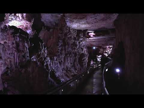 Ganas de PALENCIA 🍃