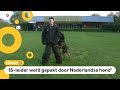 Zo worden honden getraind om terroristen te pakken
