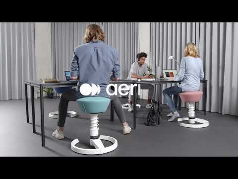 Aeris Swopper Ergonomic Office Chair