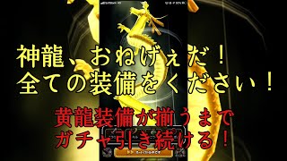 【DQW】ドラクエウォーク新ガチャ実装！黄龍装備がそろうまでガチャる！【スマフォ】