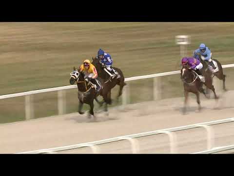 2021.08.15. 08. futam - MAJOLIKA HENDIKEP (IV.o.) (szintetikus pálya)