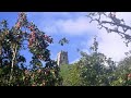 Apple Folklore Avalon Stories