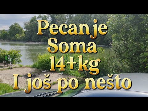 Pecanje soma