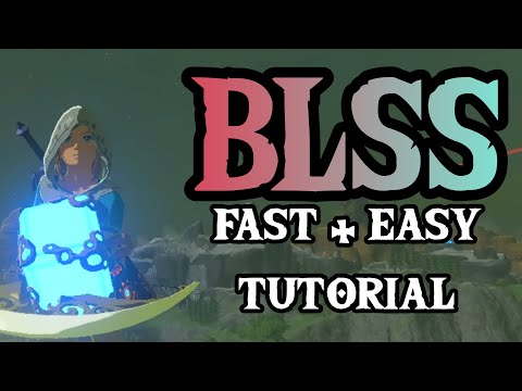 How to BLSS (Fly) in The Legend of Zelda: Breath of the Wild