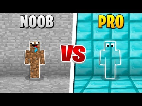 Minecraft - NOOB VS PRO (Hide and Seek in Minecraft)
